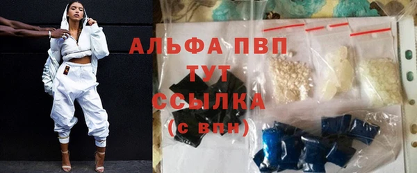 гашик Карпинск