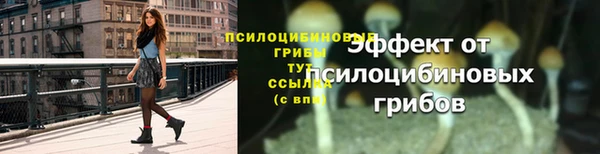 МДПВ Киренск