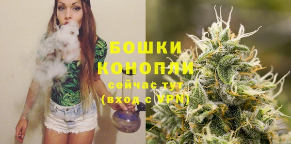 ПСИЛОЦИБИНОВЫЕ ГРИБЫ Козельск